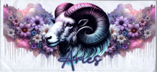 16oz Zodiac Signs 108
