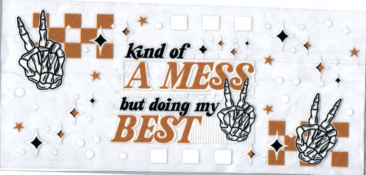 16oz Kind of a mess Inspirational
