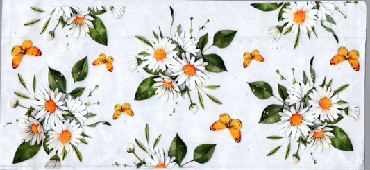 16oz White Daisy 112