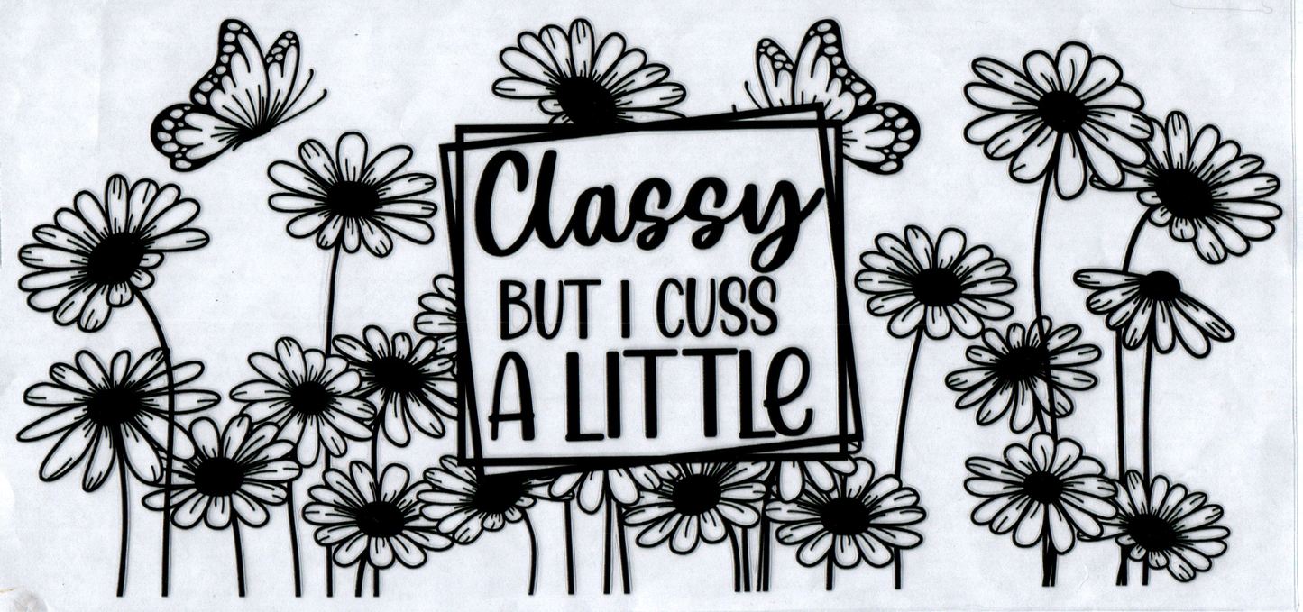 16 oz Classy but I cuss a little 112
