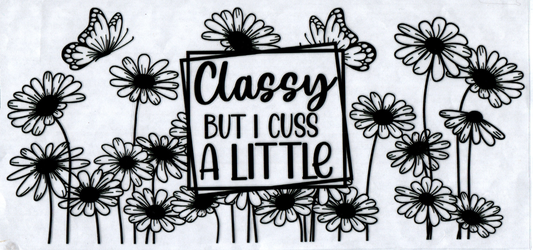 16 oz Classy but I cuss a little 112