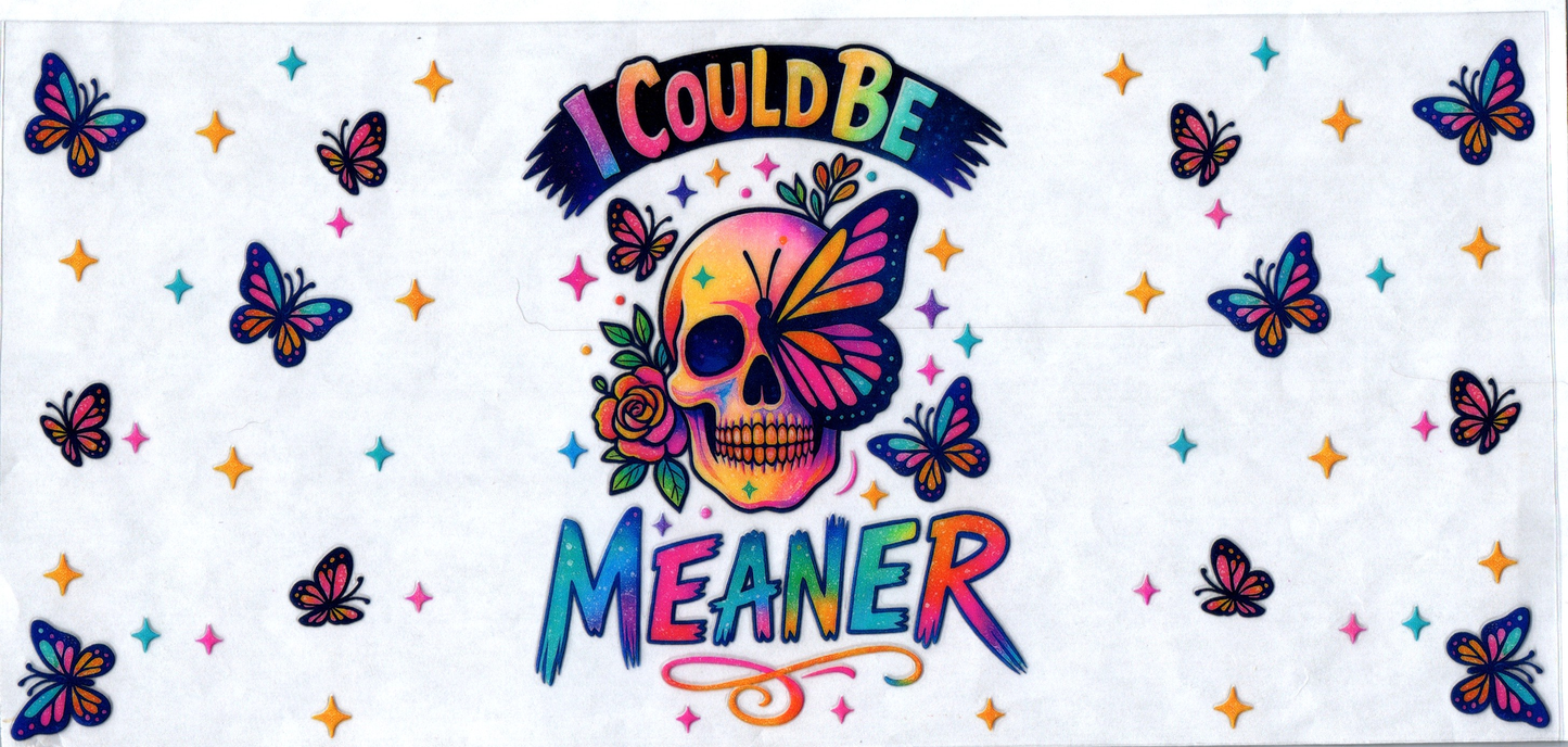 16 oz I could be meaner 113