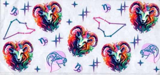 16oz Zodiac Signs 113