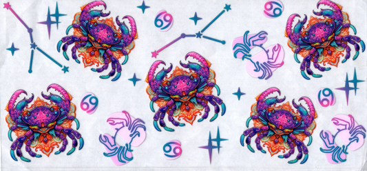 16oz Zodiac Signs 115