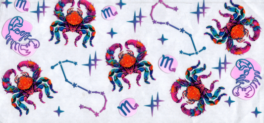 16oz Zodiac Signs 121