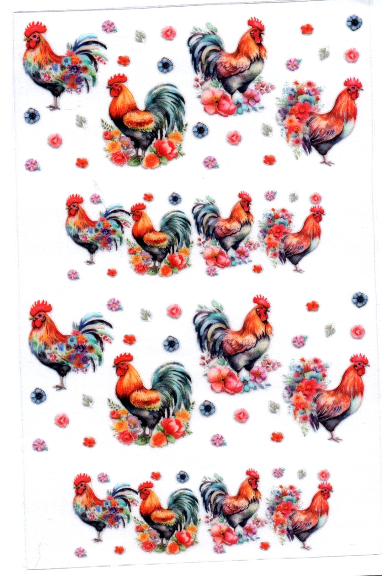 Roosters/Chickens 1 Key Chain Wrap Double 130