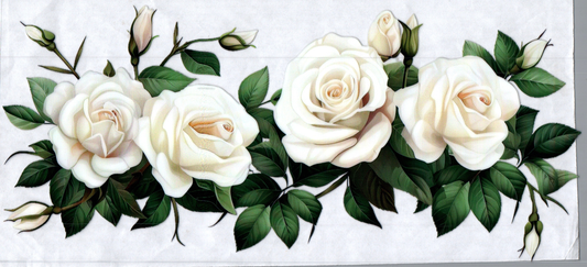 16oz White Roses in a line 134