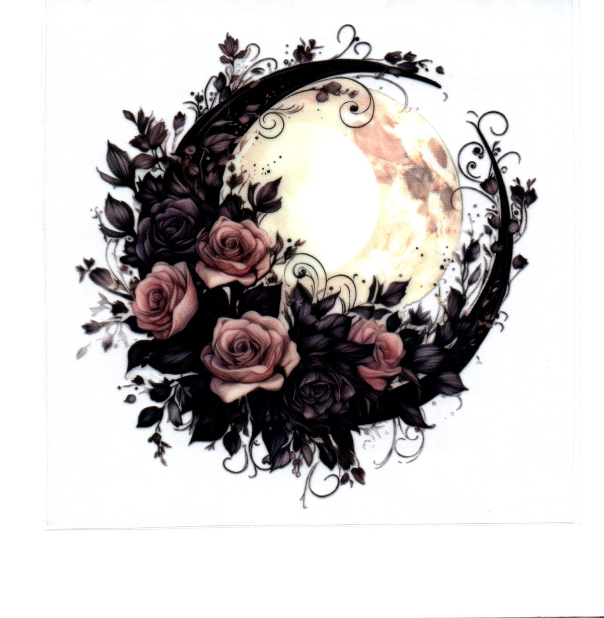 moon pink black roses Single Decal 135