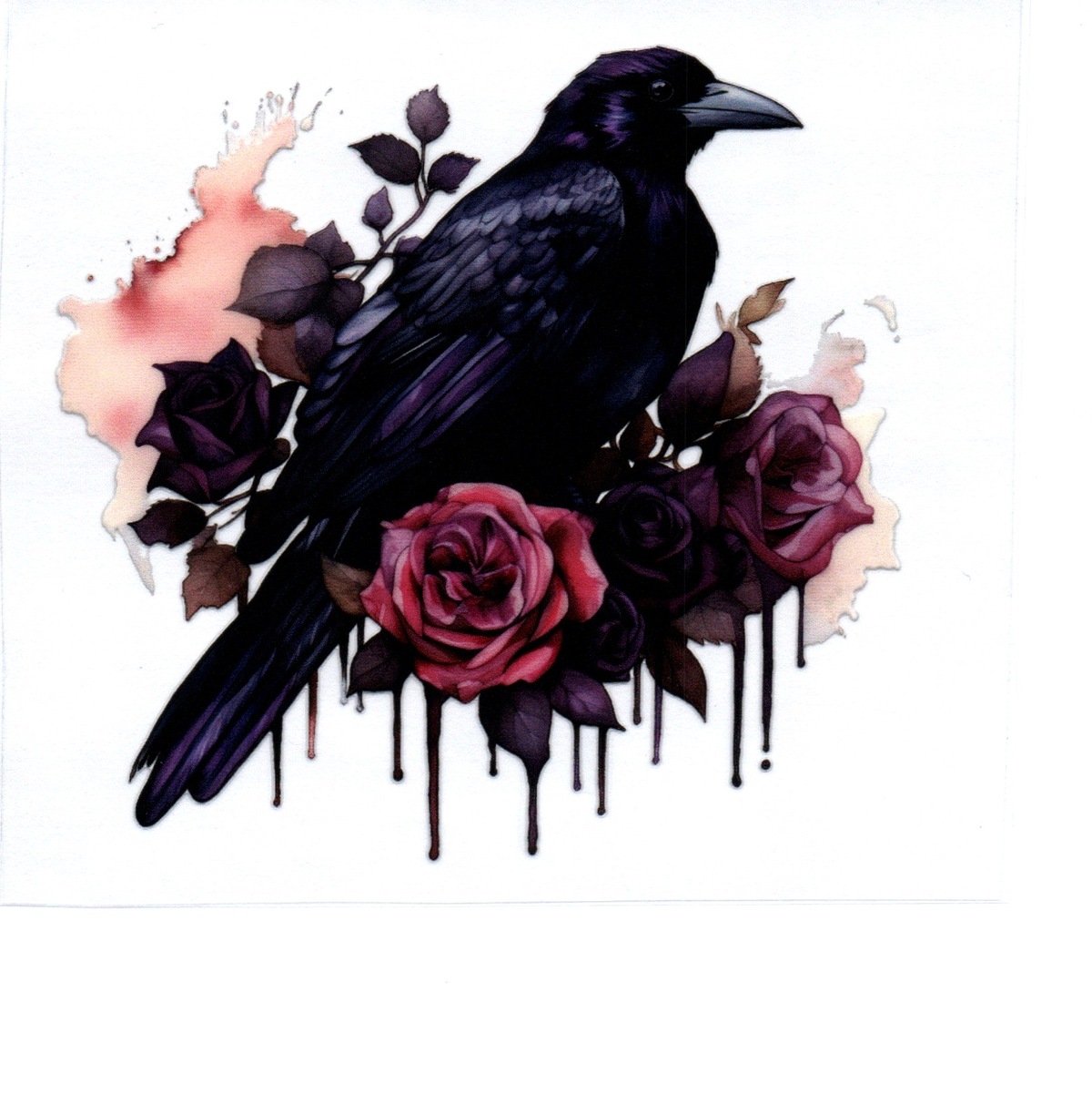 black raven red & purple & black roses Single Decal 149