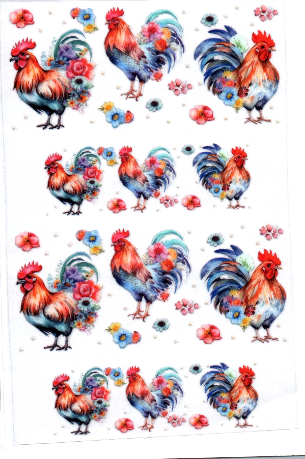 Roosters/Chickens 2 Key Chain Wrap Double 151
