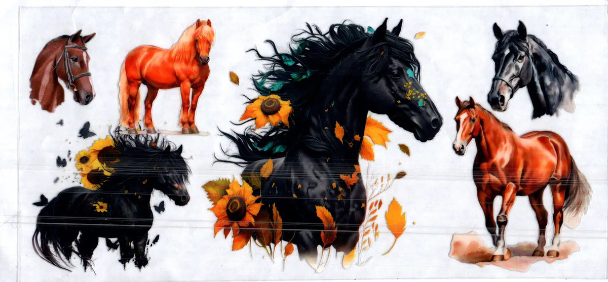 16 oz different types horses misc 151