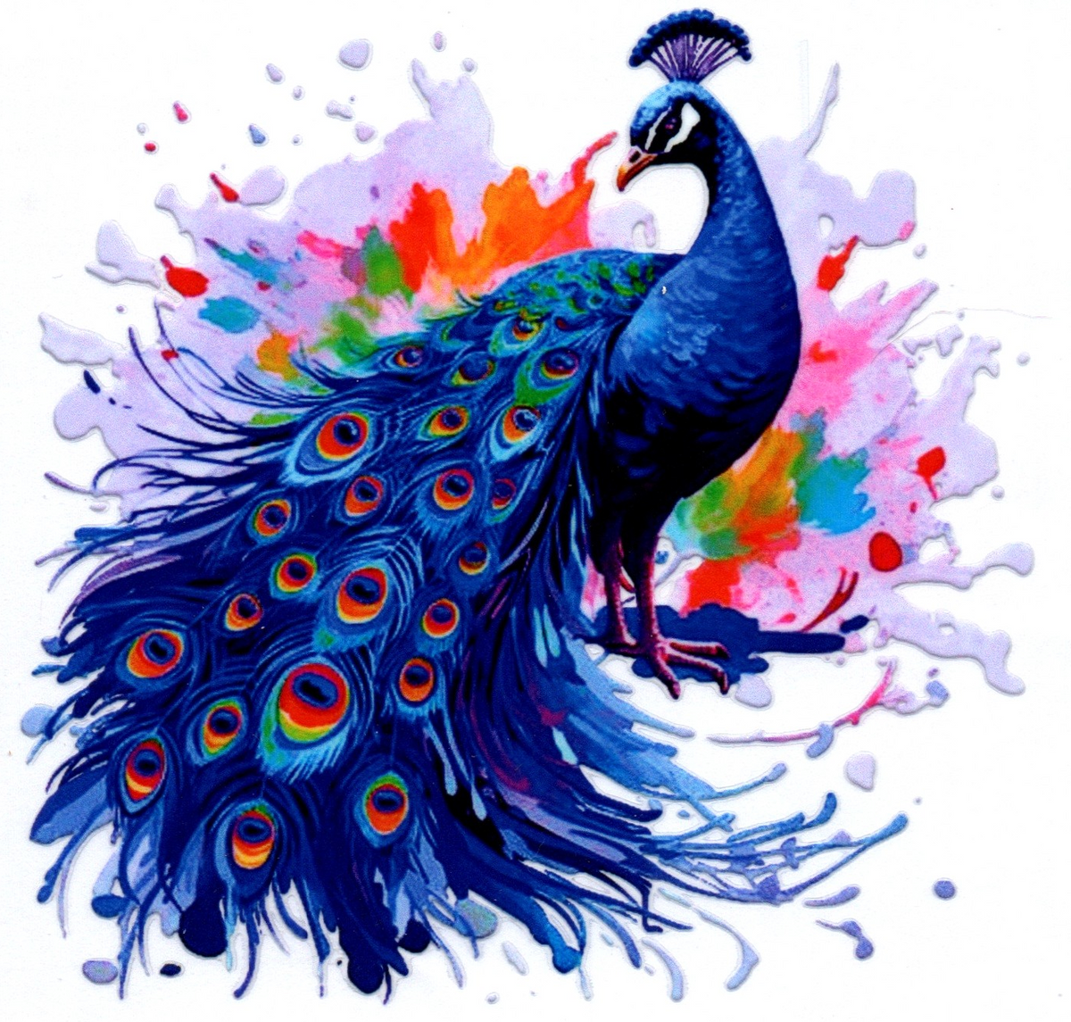Blue Peacock w/color splash 15 Single Decal