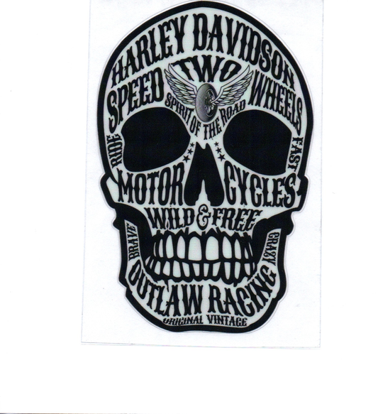 HD Skull Decal 1