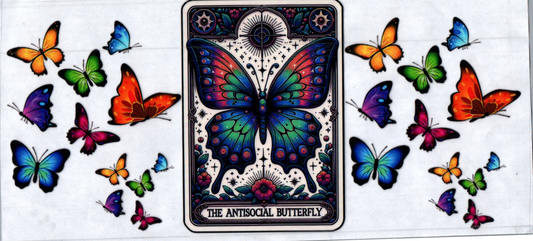 16oz Tarot card Antisocial Butterfly 16
