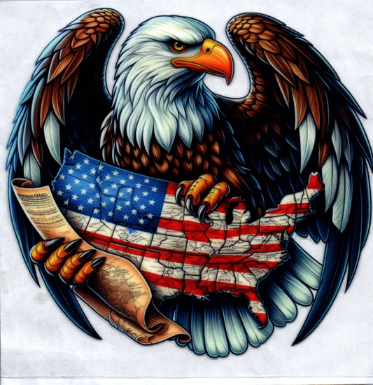 Eagle holding USA Patriotic Decal 16