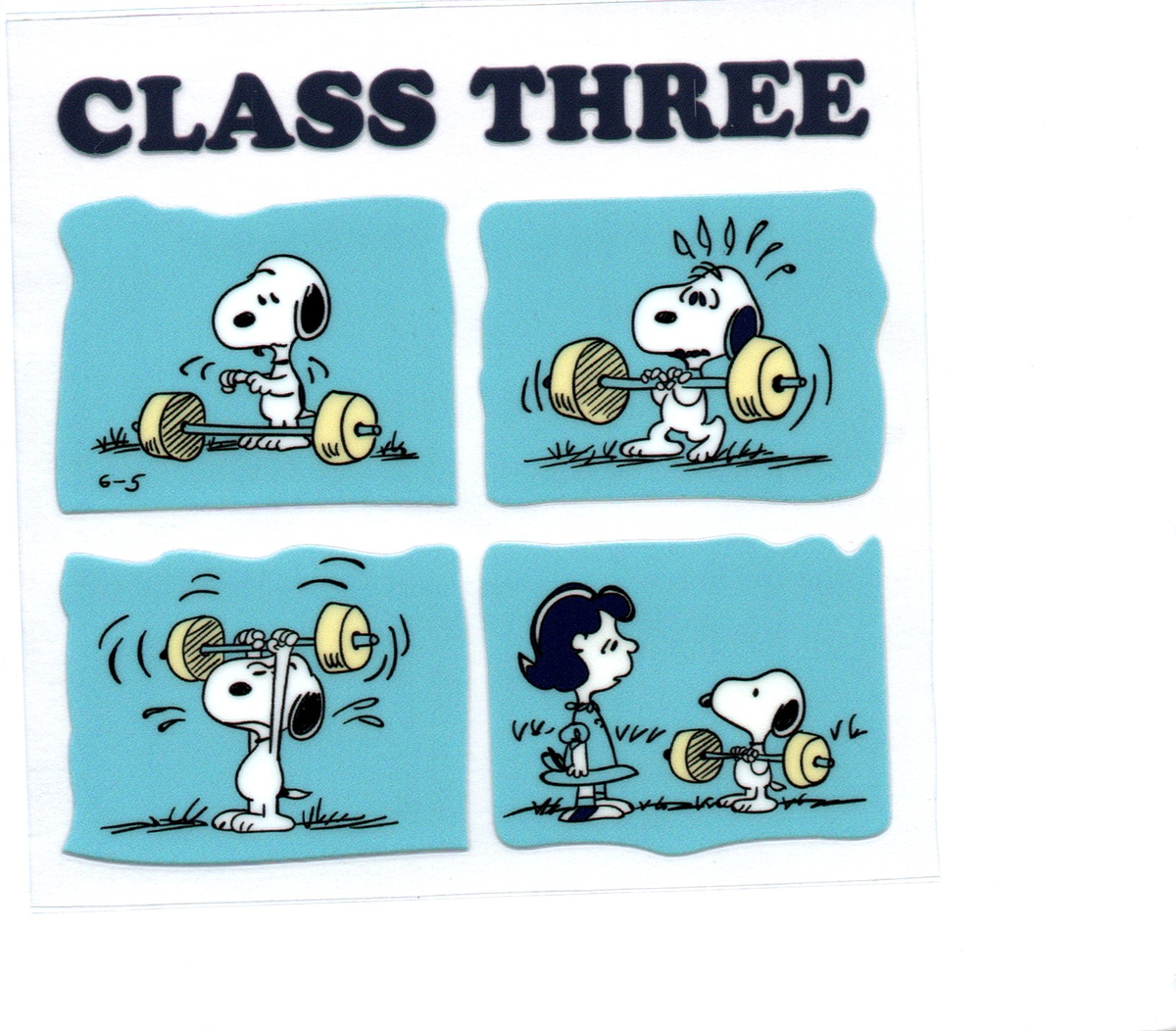 class 3 snoopy DECALS 164