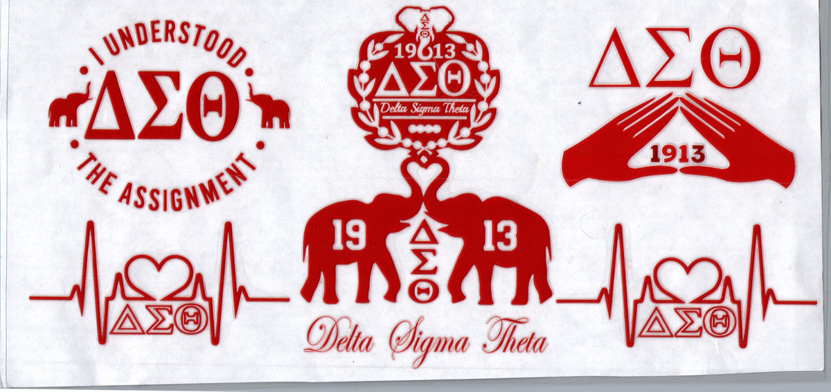16oz delta sigma theta i understood the assignment college 183