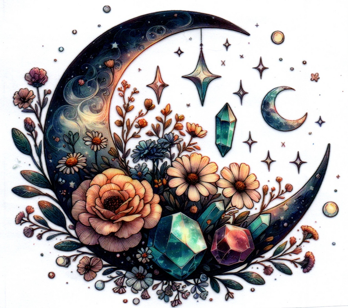 black crescent moon jewels 18