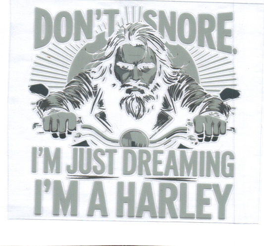 Dreaming I'm on a Harley Decal 18