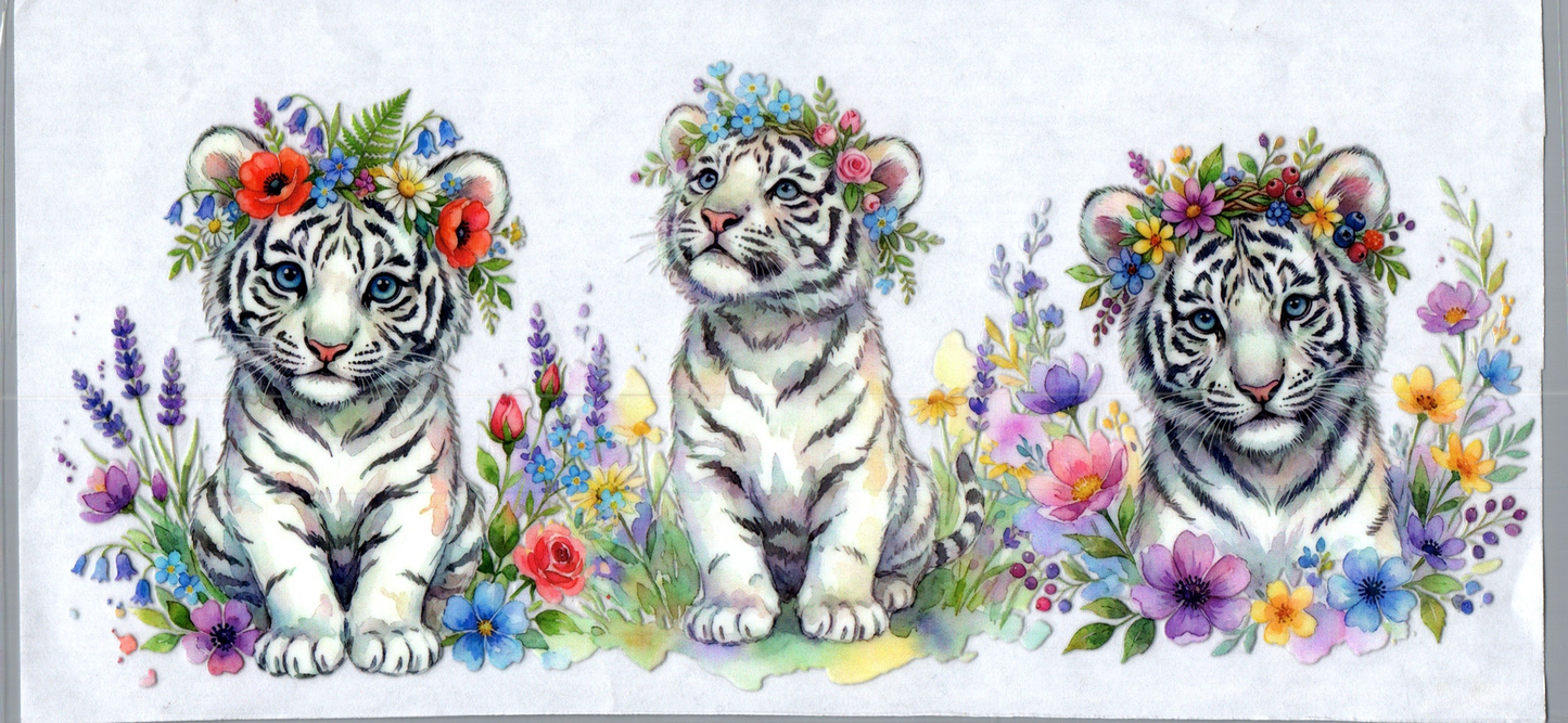 16 oz White tigers