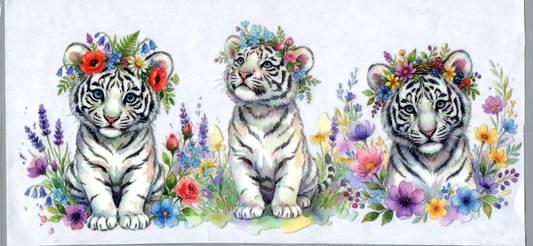 16 oz White tigers