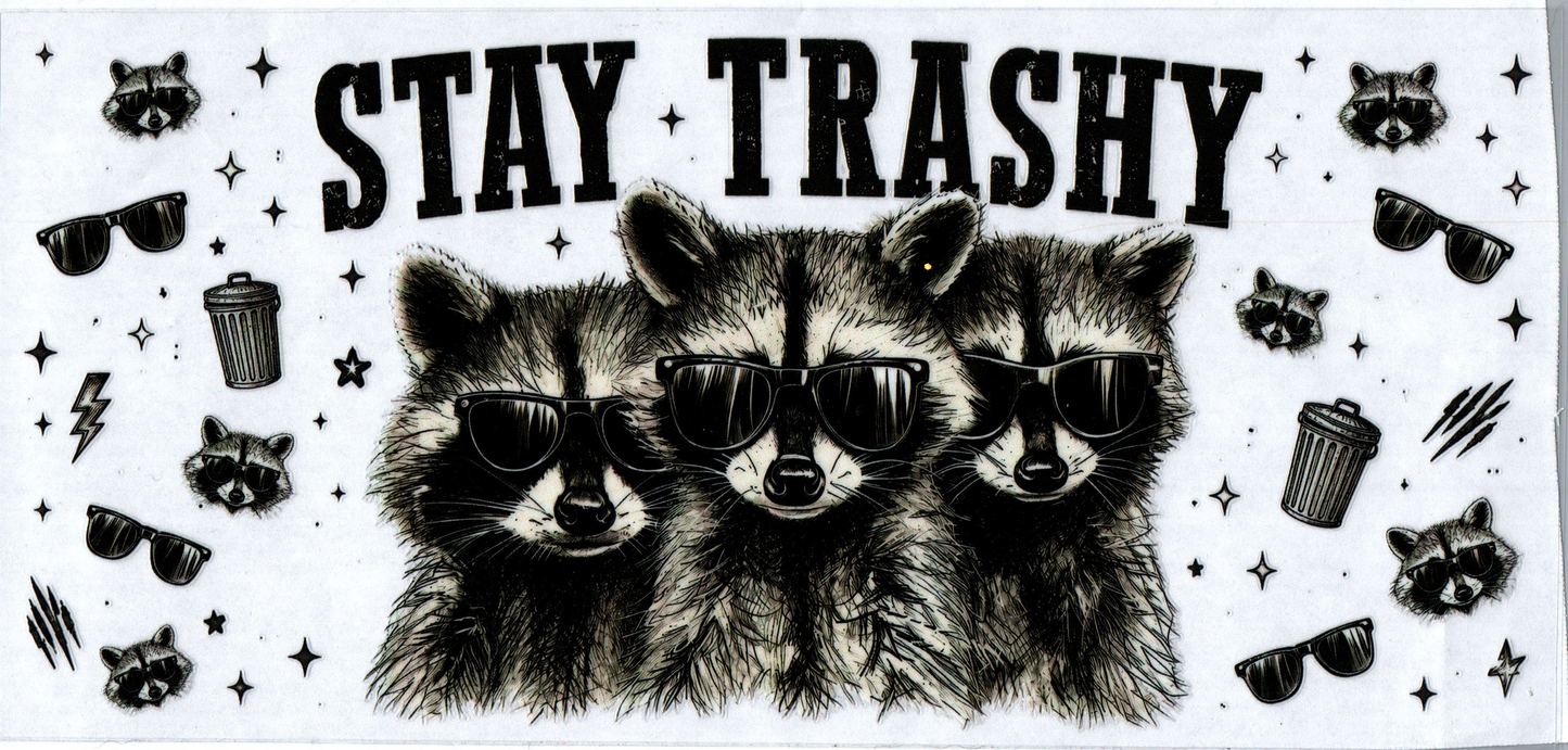 16 oz Stay Trashy 2