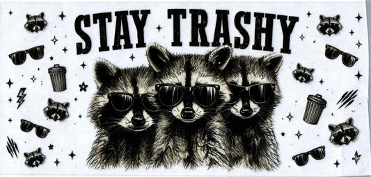 16 oz Stay Trashy 2