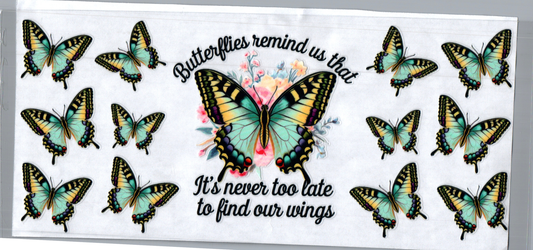 16oz Butterflies remind us 21