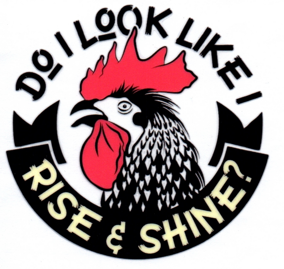 Do I look like I rise and shine Single Decal 20