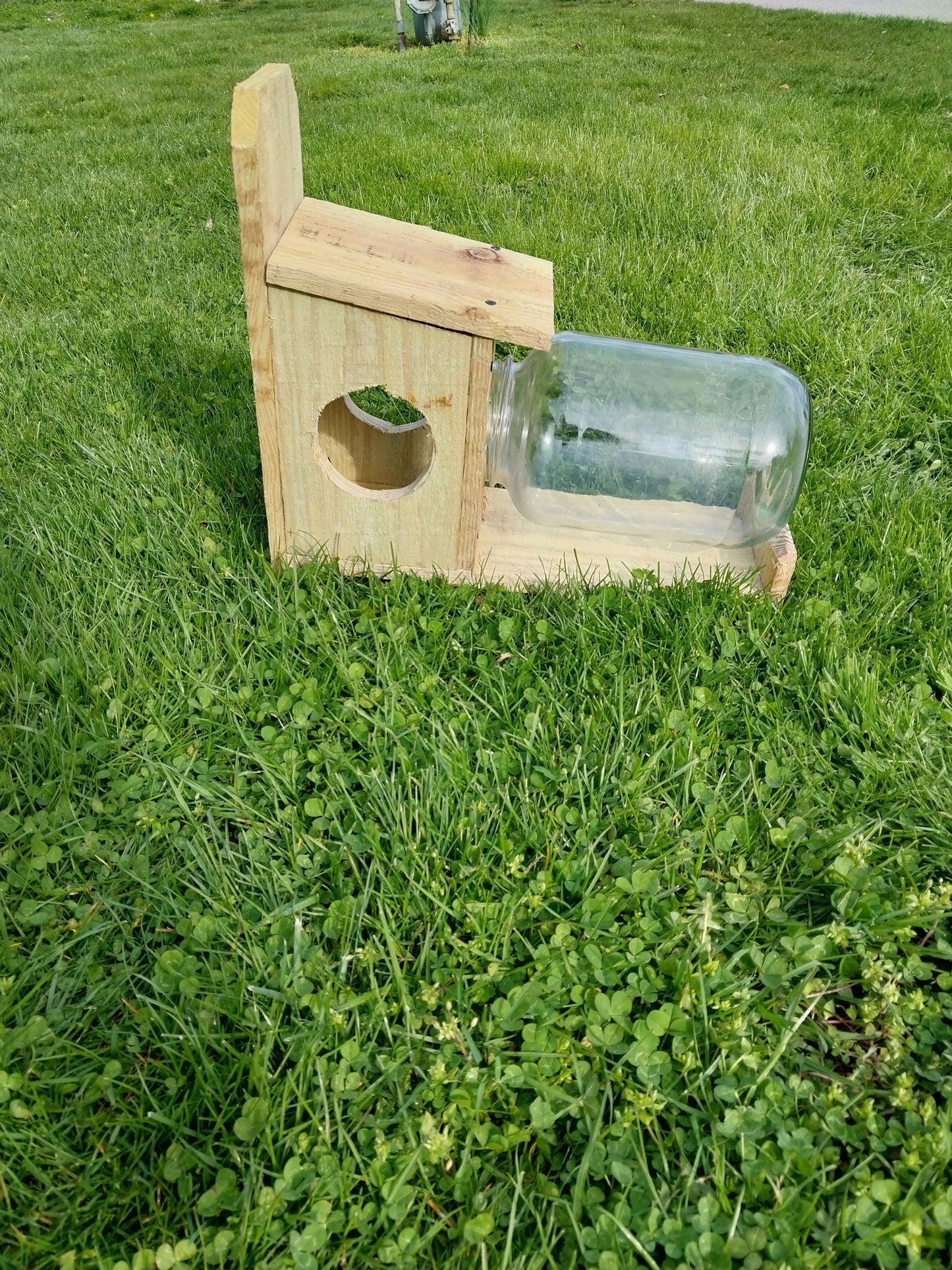 Squirrel  Feeder with Glass Gallon Jar