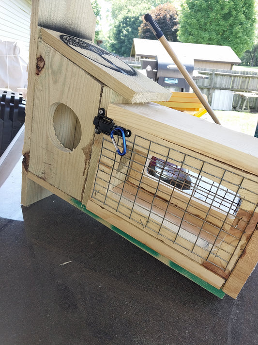 Caged Squirrel feeder