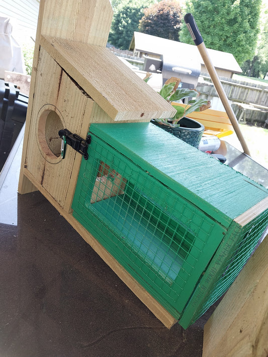 Wooden Squirrel Feedsr with Cage