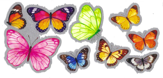 Multicolored Butterflies 16oz Glitter