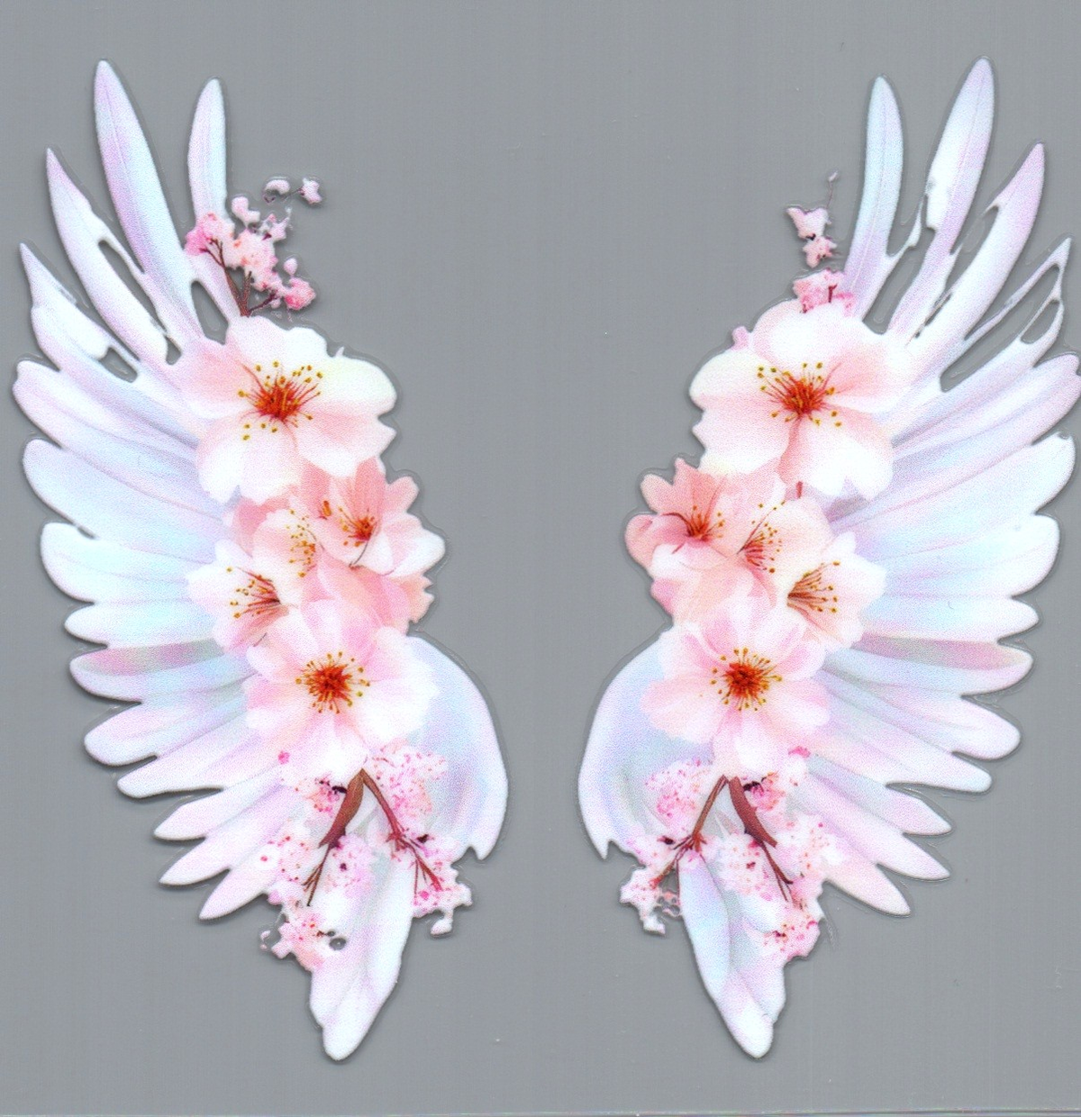 angel wings white with flowers 20