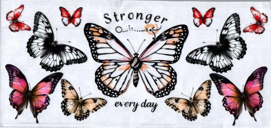 16oz Stronger every day Butterfly 22