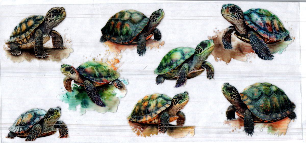 16 oz different turtles assorted 223