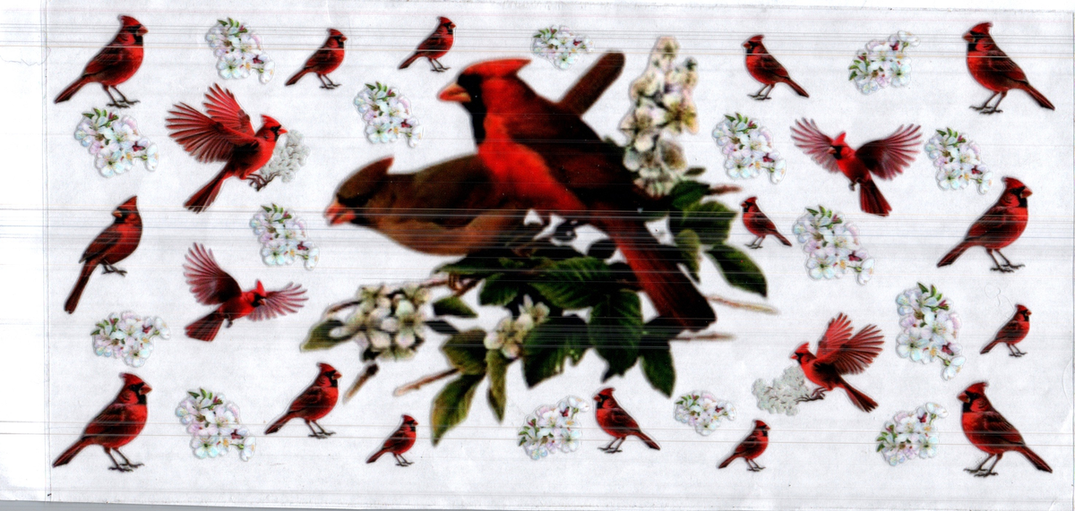 16 oz cardinals assorted 230