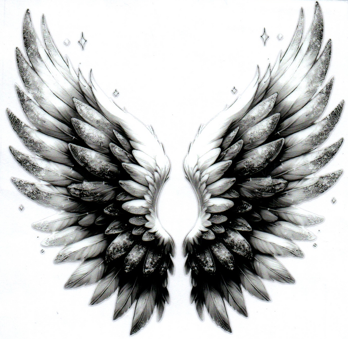 angel wings white and black 23