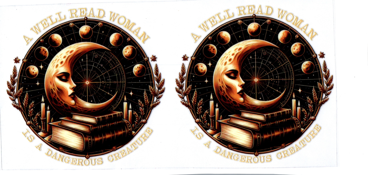 A WELL READ WOMAN DECALS