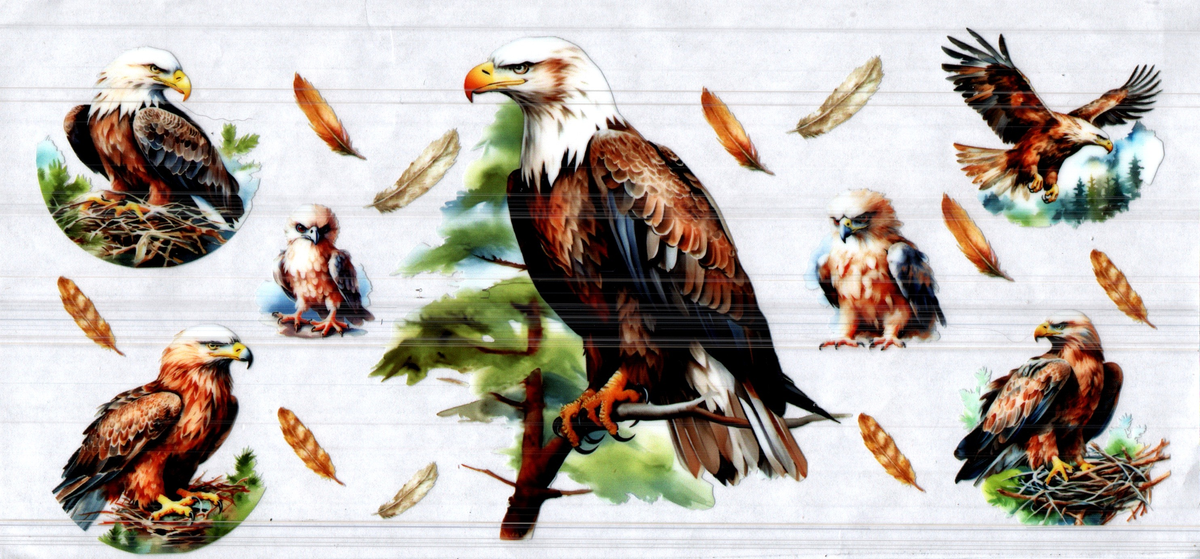 16 oz eagles assorted 235
