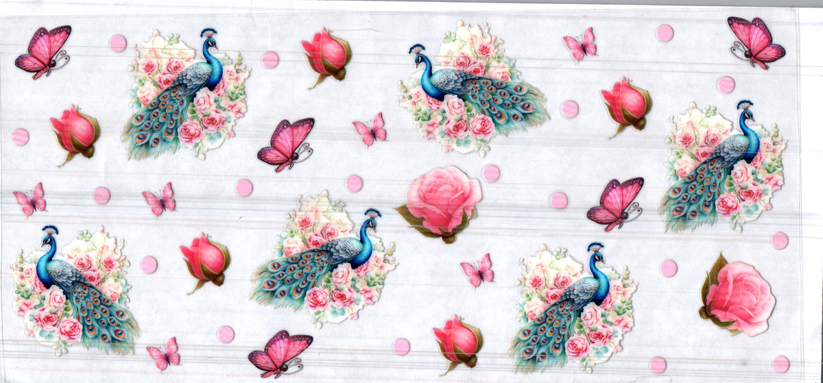 16 oz peacocks & butterflies assorted 236