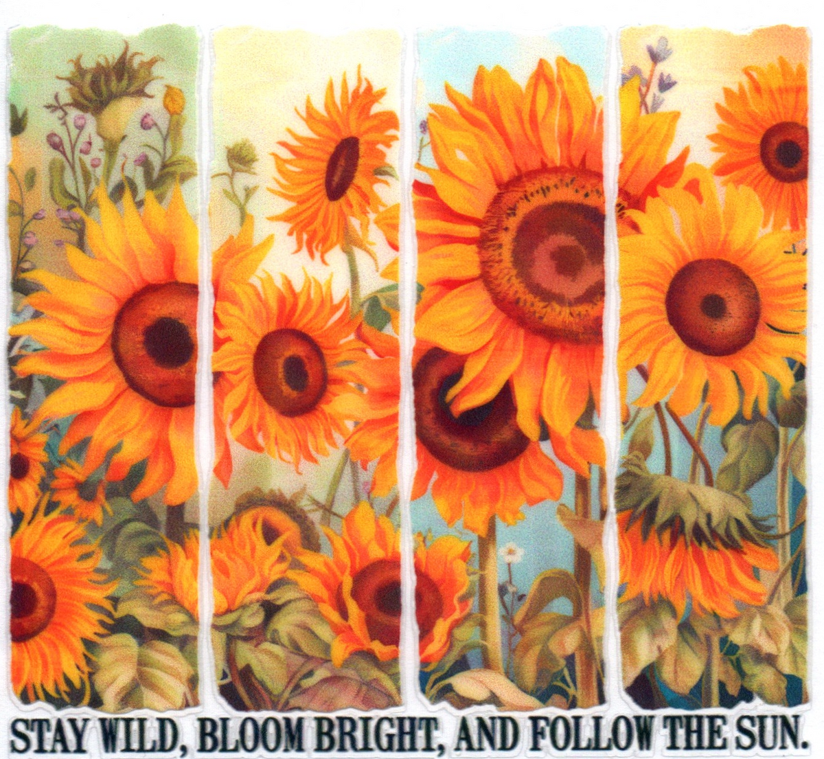 Stay Wild, Bloom Bright, and follow the sun 2 Single Decal