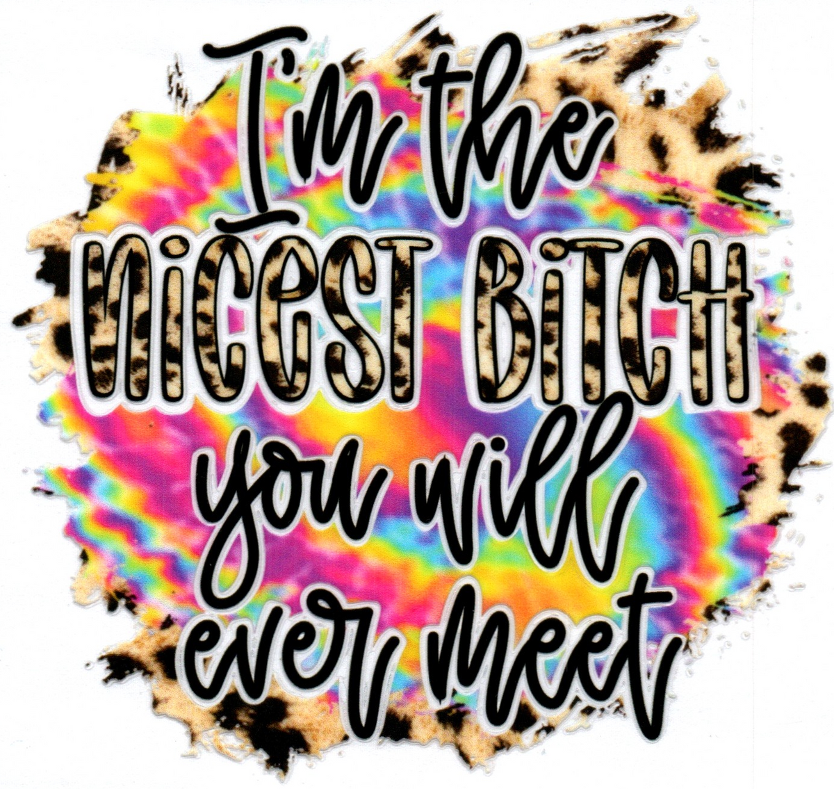 I'm the nicest bitch you will ever meet Single Decal 2