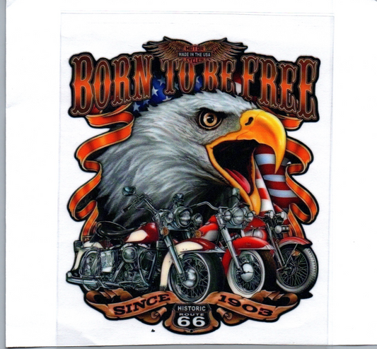 HD Born to be free Decal 25
