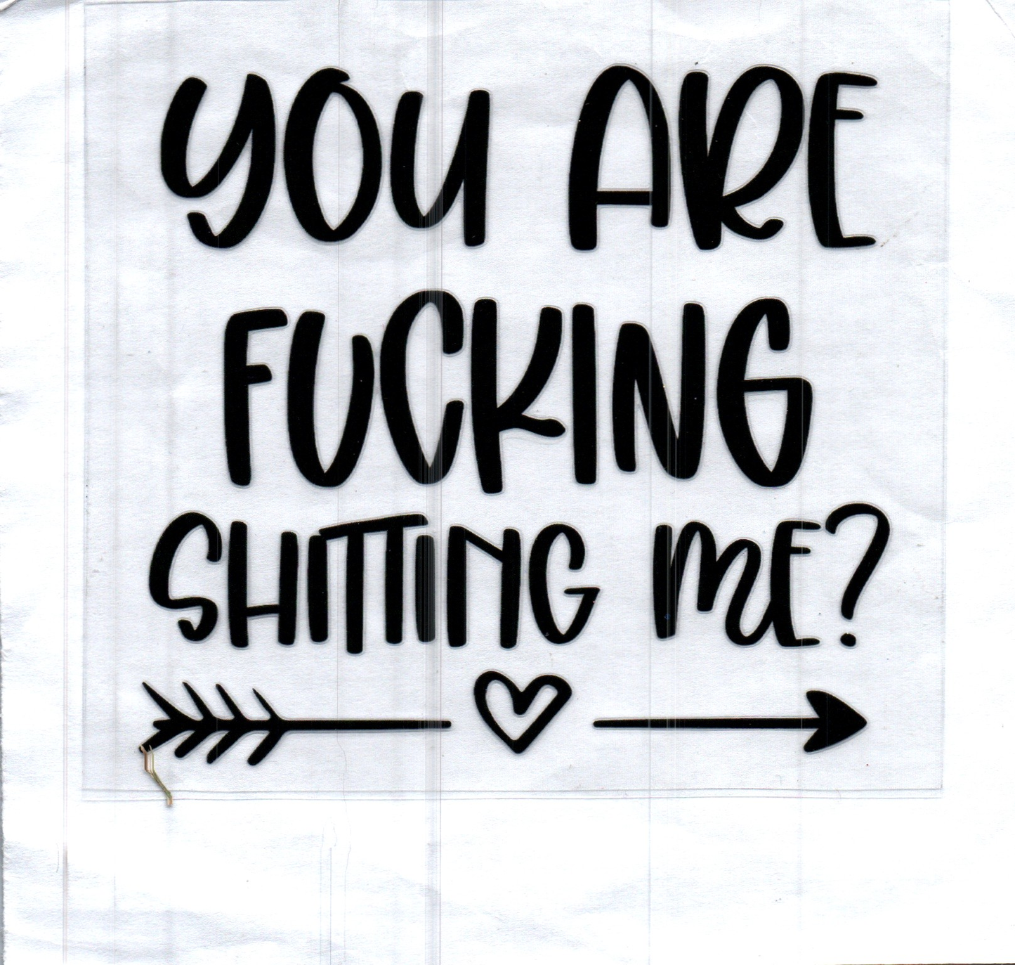 You Are F'ing Shitting me? Decal