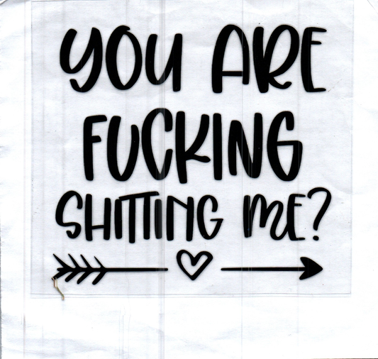 You Are F'ing Shitting me? Decal