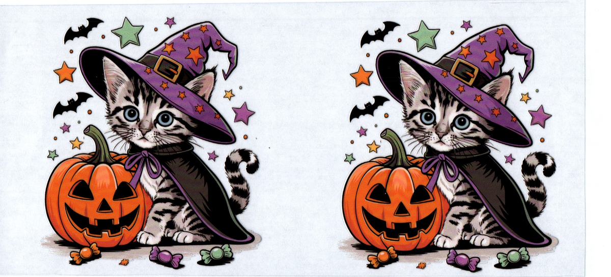 16oz tiger kitty witch halloween 2