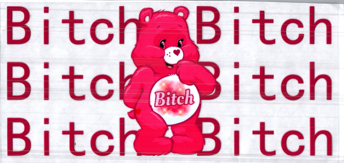 16 oz big pink b**** bear assorted 265