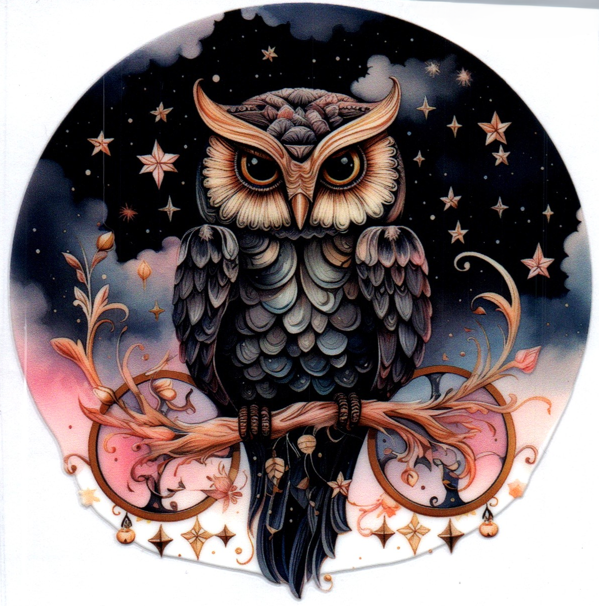 black owl on branch 27