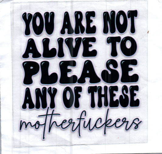 You are not alive to please any of the MFers Decal